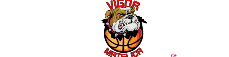 Vigor Basket Matelica