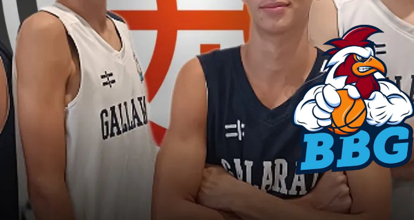 Basket Gallaratese